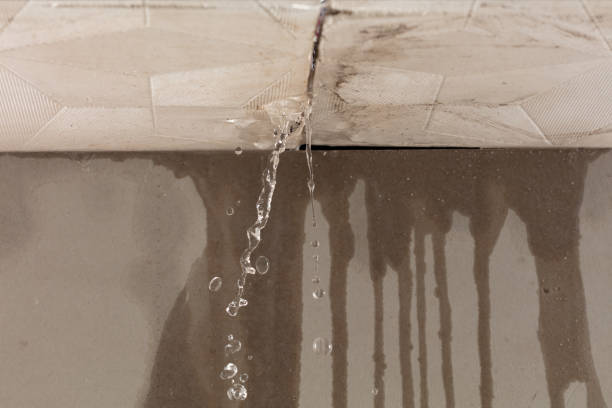 Professional Sewage Cleanup technician working in Livingston, LA